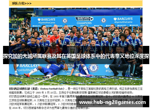探究加的夫城所属联赛及其在英国足球体系中的代表意义地位深度探 探究加的夫城所属联赛及其在英国足球体系中的代表意义地位深度探